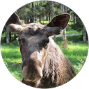 Club Aktiv profile picture